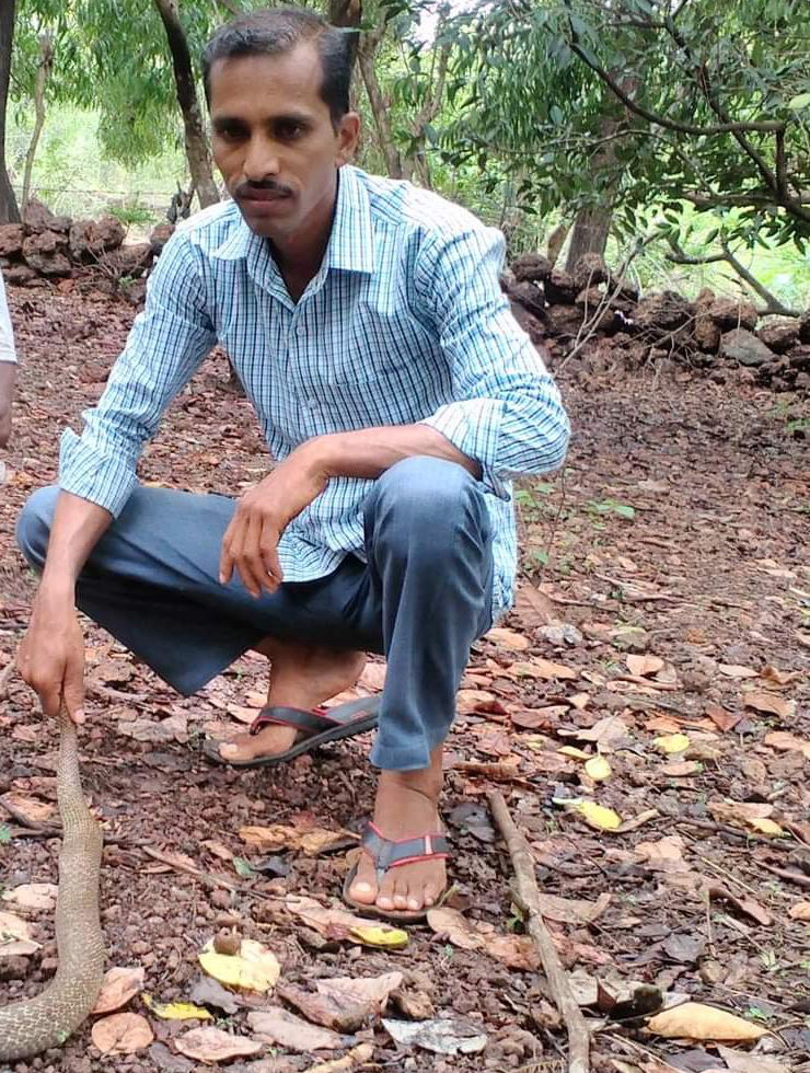 Honnavar: Snake Catcher Sheikh Succumbs to Cobra Bite