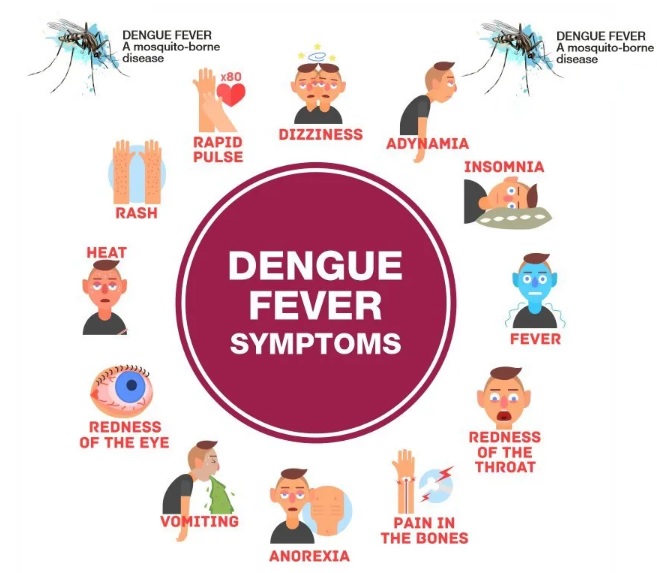 Dengue fever outbreak in Bhatkal; Many patients admitted to hospitals in Mangalore