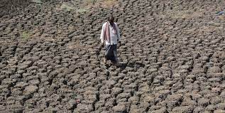 22 more taluks in Karnataka declared drought hit