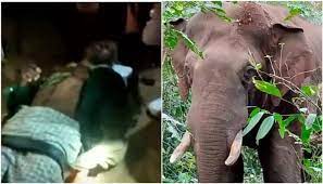 Opposition attacks Karnataka govt over compensation given to Kerala man killed by elephant