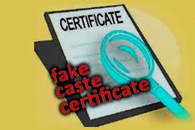 ‘Several communities availed SC &amp; ST benefits using fake caste certificates,’