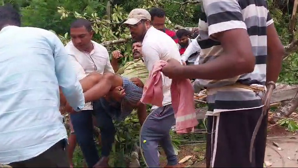 Tree falls on moving bike in Honnavar, injuring riders