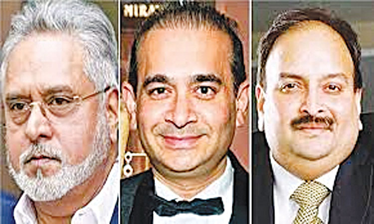 Nirav Modi Vijay Mallya fled India as probe agencies did not arrest them at proper time Court