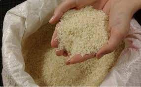 Kundapur: Annabhagya Rice Illegal Trafficking; One Arrested