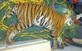 Speeding car kills Tiger in Karnataka