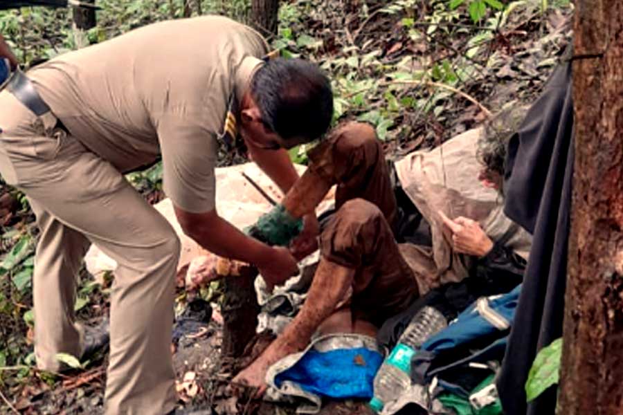 Woman found chained to tree in forest near Mumbai; police launch investigation