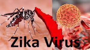 Karnataka govt writes to Health Ministry on Zika virus, says situation is well under control